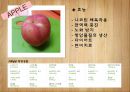 해독주스 7페이지