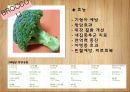 해독주스 11페이지