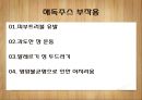 해독주스 12페이지