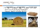 친환경 재료를 사용한 건축사례 2페이지