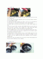 모타르보고서 3페이지