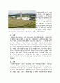 한국 근현대사 과제 - 5.18 민주화운동 (광주민중항쟁) 9페이지