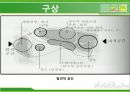 [도시공원설계] 파리 서울 공원.PPT자료 19페이지