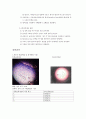 실험1. 세포의 관찰  3페이지
