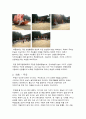  한국민속과 전통문화 6페이지