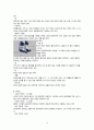 스키 스노우보드의 역사 경기방법 장비 운동기술 10페이지