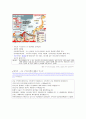 끊임없는 화산과 지진 그리고 온천의 나라 일본  5페이지