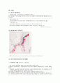 끊임없는 화산과 지진 그리고 온천의 나라 일본  6페이지