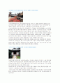  일본 전통이 살아 숨 쉬는 도시-교토 (니시진 직물회관, 킨카쿠지, 은각사, 청수사, 고다이지, 니죠죠, 헤이안 진구, 카사기야, 효테이, 카네요, 스시노무사시, 요지야 카페, 요지야, 니시키 시장, 세이류엔) 3페이지