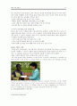 한국과 세계 속의 YWCA  18페이지