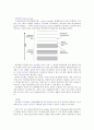 반도체 나노입자의 분광학적 성질-예비 2페이지