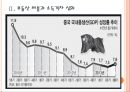 [중국시장] 중국경제에 대한 분석과 전망.PPT자료 6페이지