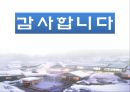 일본의 목욕과 온천 23페이지