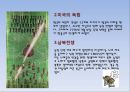 [세계문화기행] 미국문화 (America) 6페이지