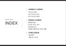 AMERICA CASINO 미국 카지노 & INDIAN CASINO 인디언 카지노.pptx 2페이지