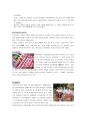 일본인의 통과의례 탄생에서 죽음까지  12페이지