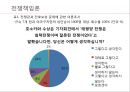 전쟁책임론 (전쟁책임 무엇인가) 10페이지