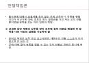 전쟁책임론 (전쟁책임 무엇인가) 17페이지