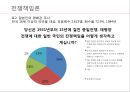 전쟁책임론 (전쟁책임 무엇인가) 21페이지