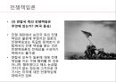 전쟁책임론 (전쟁책임 무엇인가) 27페이지