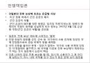 전쟁책임론 (전쟁책임 무엇인가) 40페이지