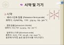 순환전압전류법-분석화학 12페이지