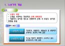 노년기의 발달과 인생의 마무리 4페이지