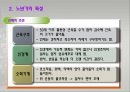 노년기의 발달과 인생의 마무리 11페이지
