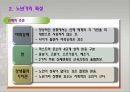 노년기의 발달과 인생의 마무리 13페이지