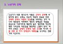 노년기의 발달과 인생의 마무리 16페이지