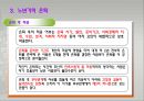 노년기의 발달과 인생의 마무리 18페이지
