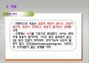 노년기의 발달과 인생의 마무리 19페이지