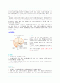 치매에 관하여  6페이지