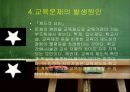 교육문제의 해결을 위한 사회복지적 접근 9페이지
