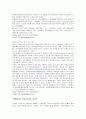 사회복지개론(청소년복지) 17페이지