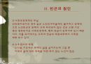 노인빈곤문제의 원인과 해결방안.ppt 8페이지