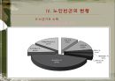 노인빈곤문제의 원인과 해결방안.ppt 11페이지