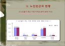 노인빈곤문제의 원인과 해결방안.ppt 12페이지