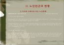 노인빈곤문제의 원인과 해결방안.ppt 19페이지
