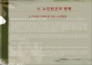 노인빈곤문제의 원인과 해결방안.ppt 20페이지