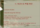 노인빈곤문제의 원인과 해결방안.ppt 24페이지