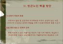 노인빈곤문제의 원인과 해결방안.ppt 25페이지
