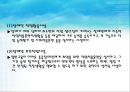 직업 재활 13페이지