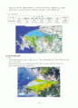 시화호 문제점과 대안  15페이지