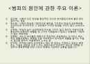  청소년 비행과 범죄 11페이지