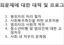  청소년 비행과 범죄 28페이지