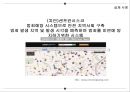 데이터마이닝.pptx 23페이지