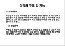 심장의 구조 및 기능 6페이지
