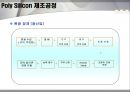 Poly Silicon  24페이지
