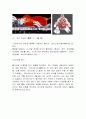마쯔리  11페이지